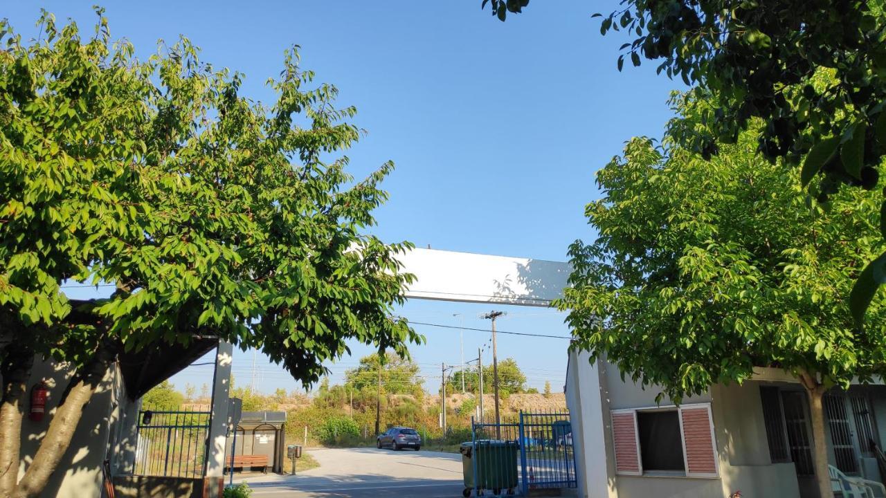 Camping Mitikas And Bungalows Plaka Litochorou Exterior photo